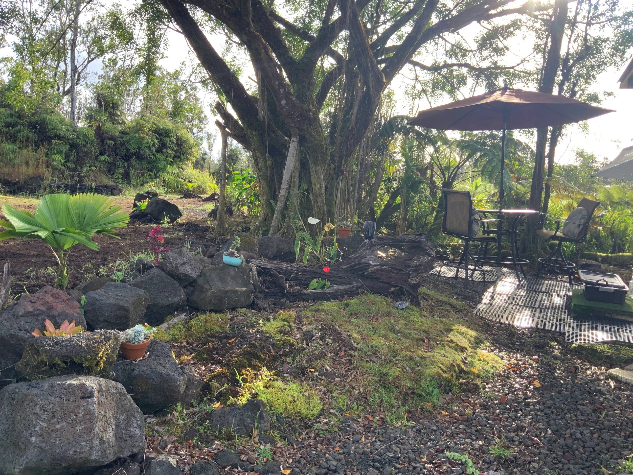 Cabin in Mountain View · ★5.0 · 1 bedroom · 1 bed · 1 private bath - Image 20