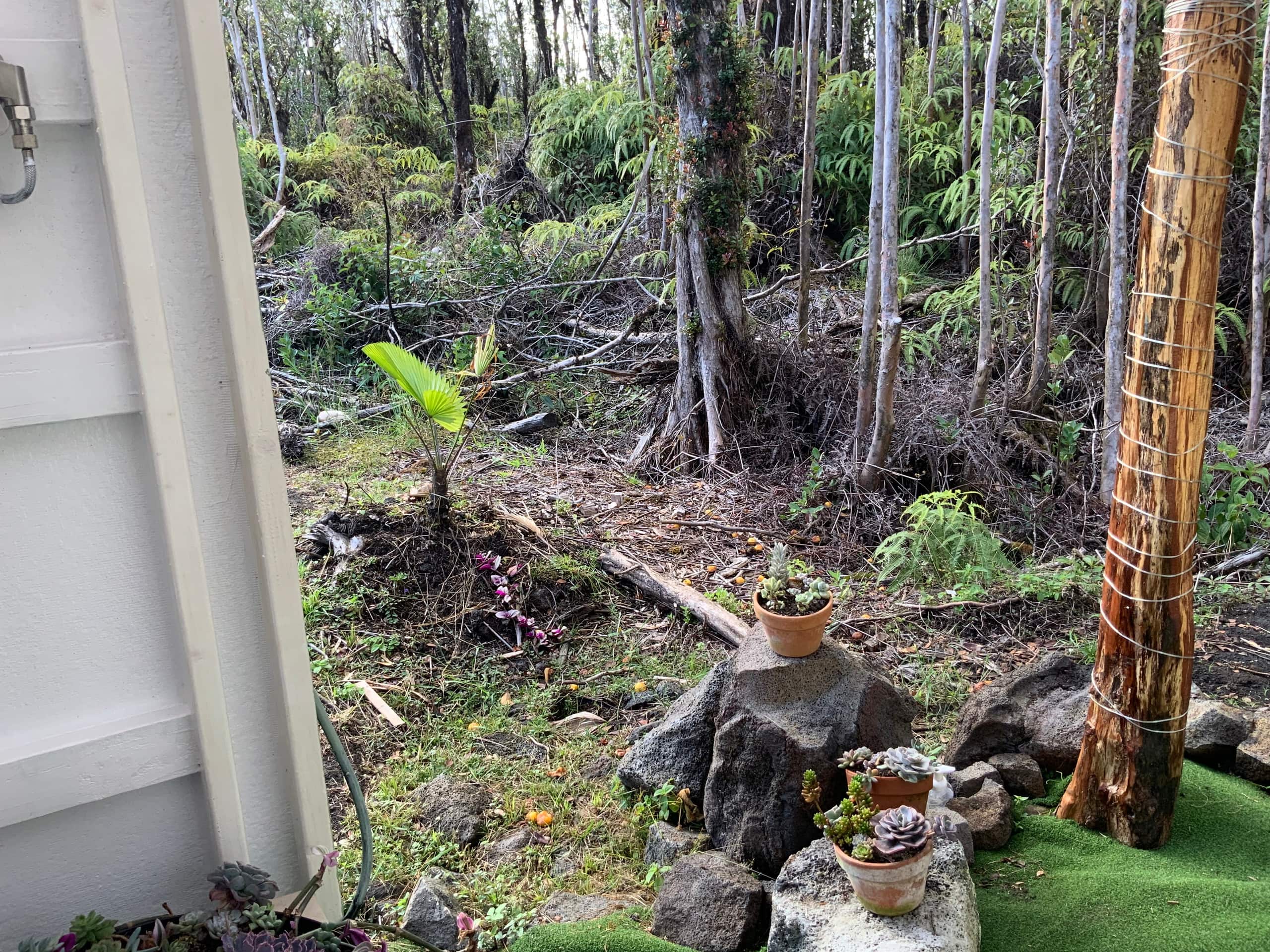 Cabin in Mountain View · ★5.0 · 1 bedroom · 1 bed · 1 private bath - Image 18