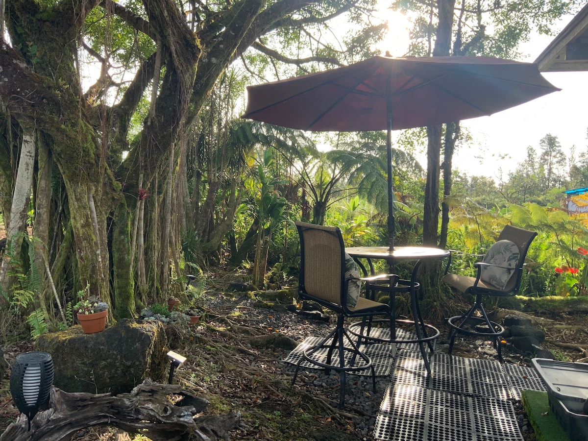 A shaded outdoor seating area features a round table with two chairs beneath a large umbrella. Surrounding greenery and tropical plants create a tranquil backdrop, with sunlight filtering through the leaves, enhancing the serene environment.