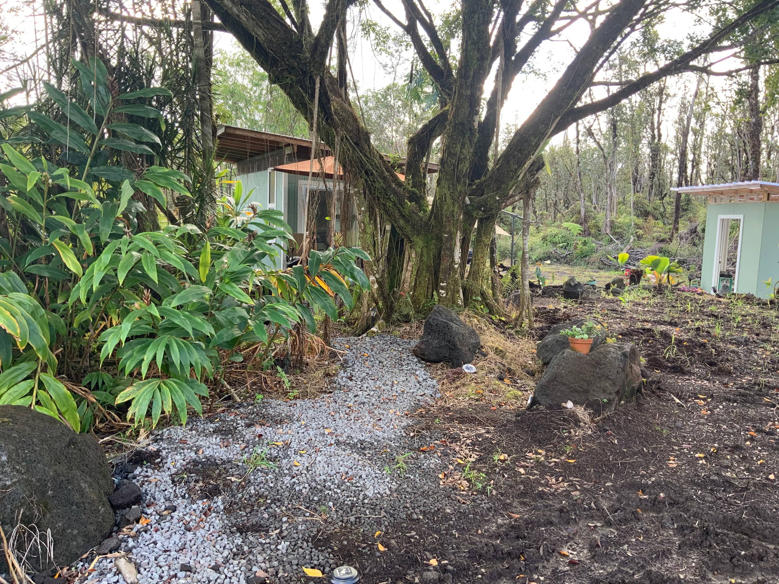 Cabin in Mountain View · ★5.0 · 1 bedroom · 1 bed · 1 private bath - Image 29