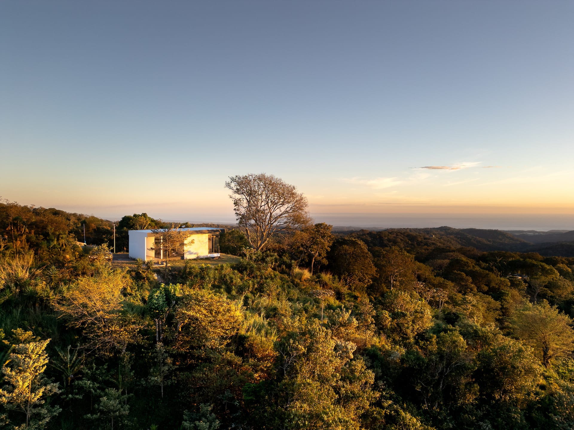 Casa Olivo