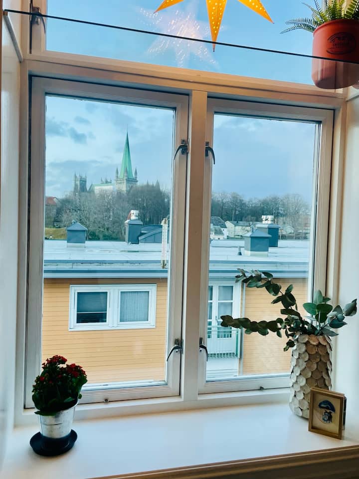 Charming Bakklandet Apartment - 트론헤임