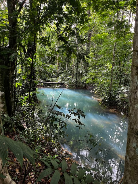 The Hummingbird House