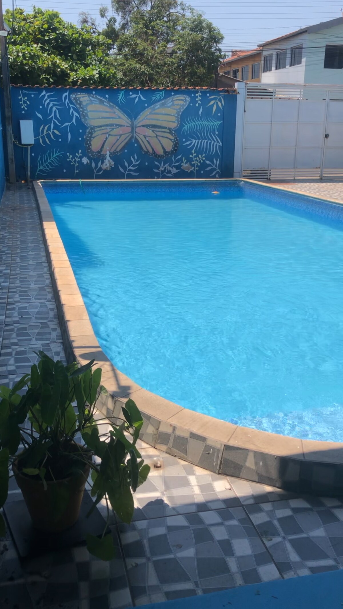 A swimming pool is framed by colorful tile work and a decorative mural featuring a butterfly. Lush greenery is positioned nearby, enhancing the serene outdoor environment. Sunlight reflects off the clear water, creating a calming atmosphere.