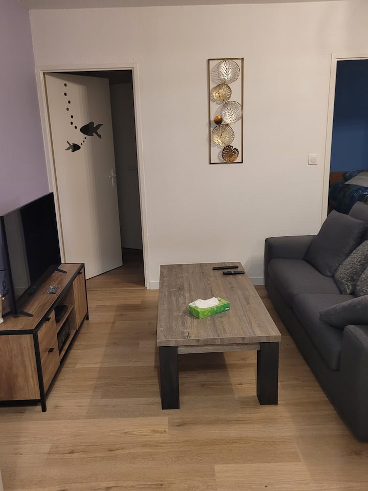 Appartement T2 Refait à Neuf - Caussade