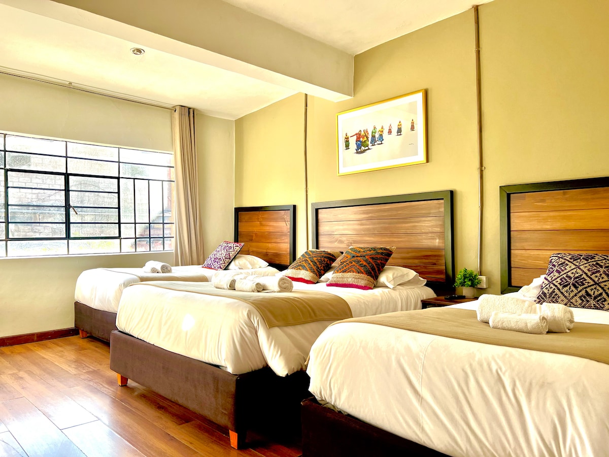 A bright and airy room features three spacious beds adorned with colorful cushions. Natural light filters through a large window, creating a light atmosphere. A small plant is placed on a bedside table, enhancing the room's aesthetic appeal.