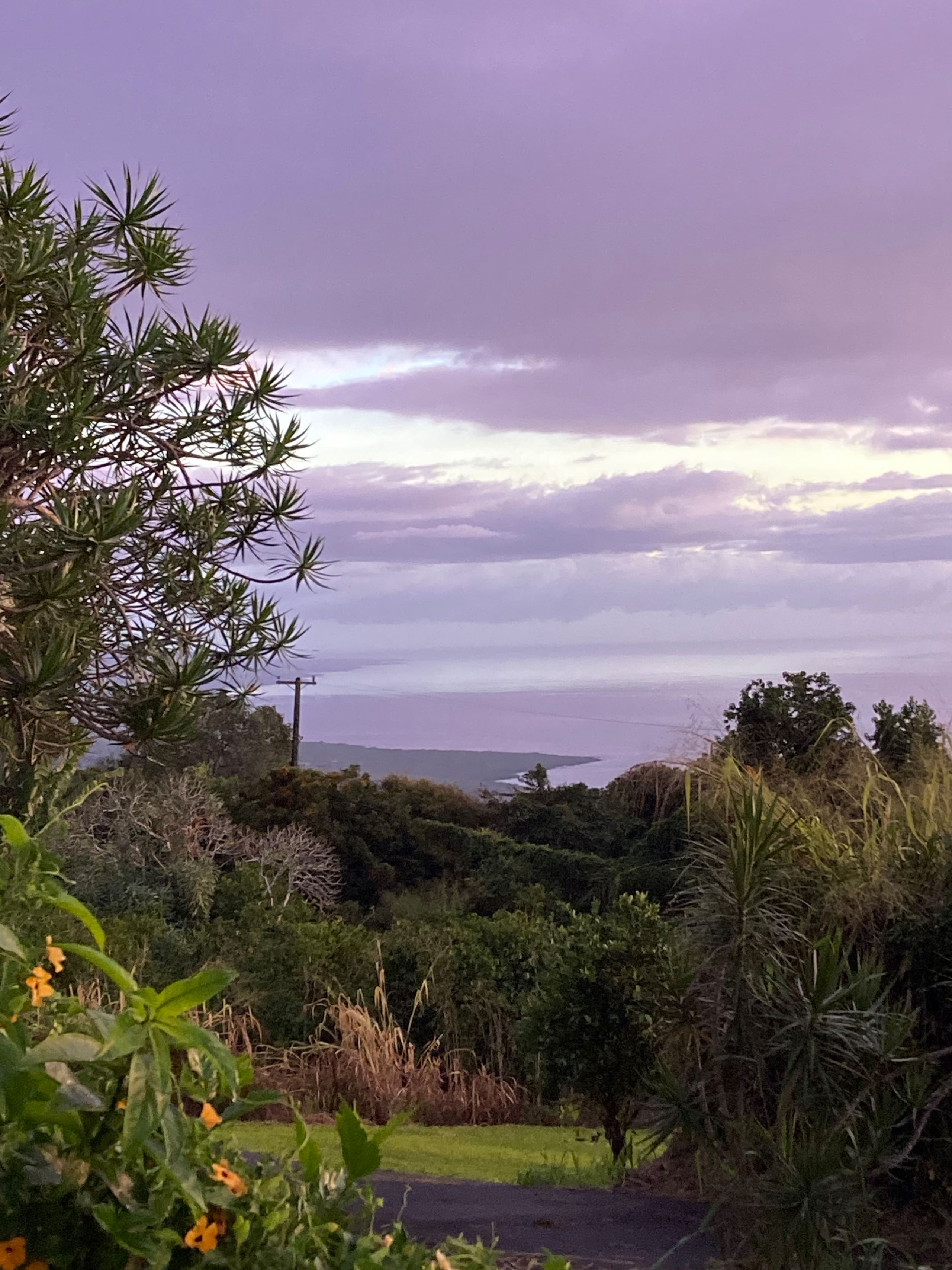 I'o Hale on Wings of Aloha 180 Ocean Sunset View - Photo 39