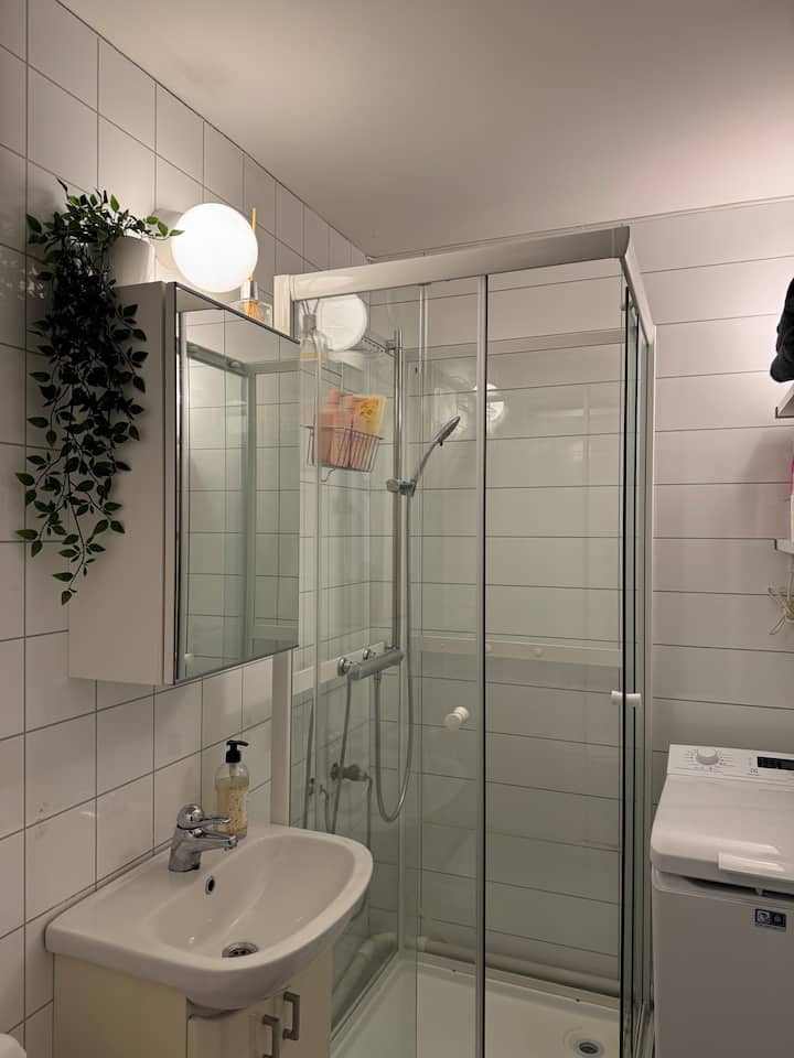 Fin Leilighet På Rosenhoff - Oslo