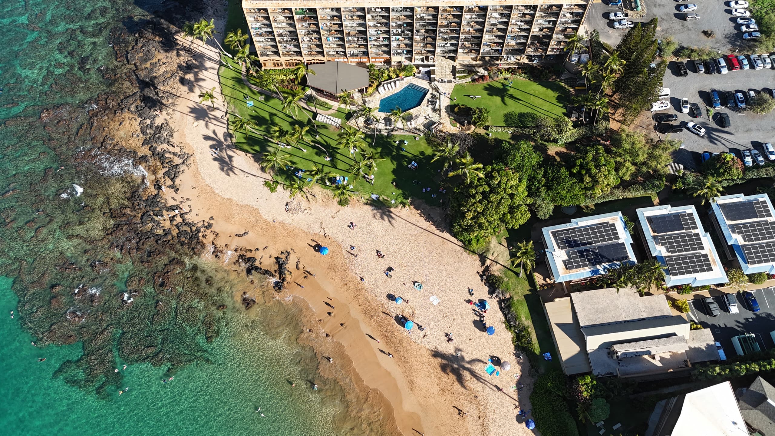 Condo in Kihei · ★5.0 · 2 bedrooms · 3 beds · 2 baths - Image 48