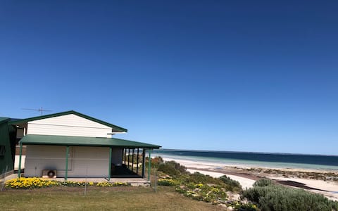 Cordelia and the Gull. Perfect, Right on the beach