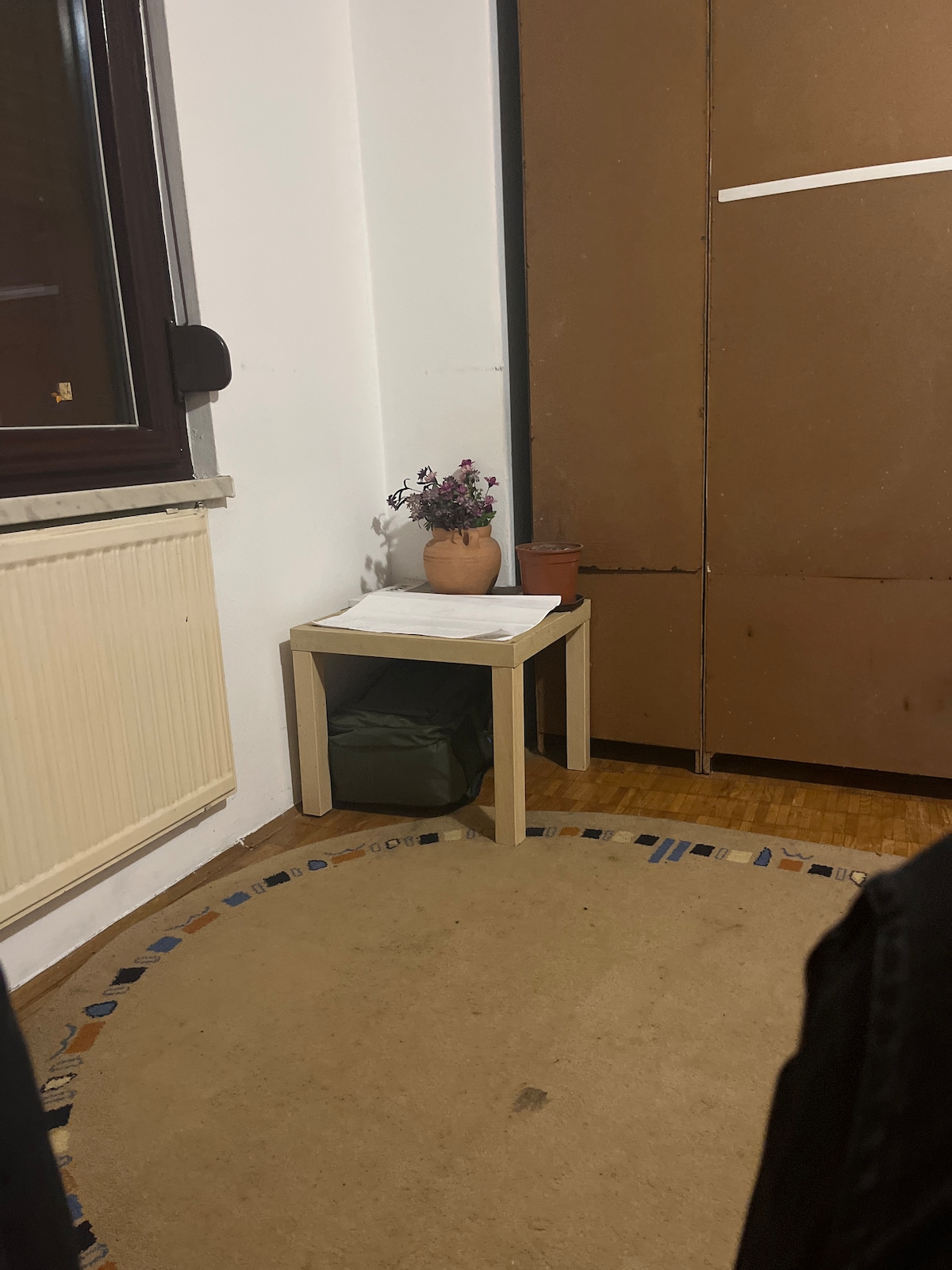 A simple corner features a small table topped with a potted plant. The table rests next to a warm-toned cabinet and is positioned on a round, textured rug. Natural light is visible through a nearby window.