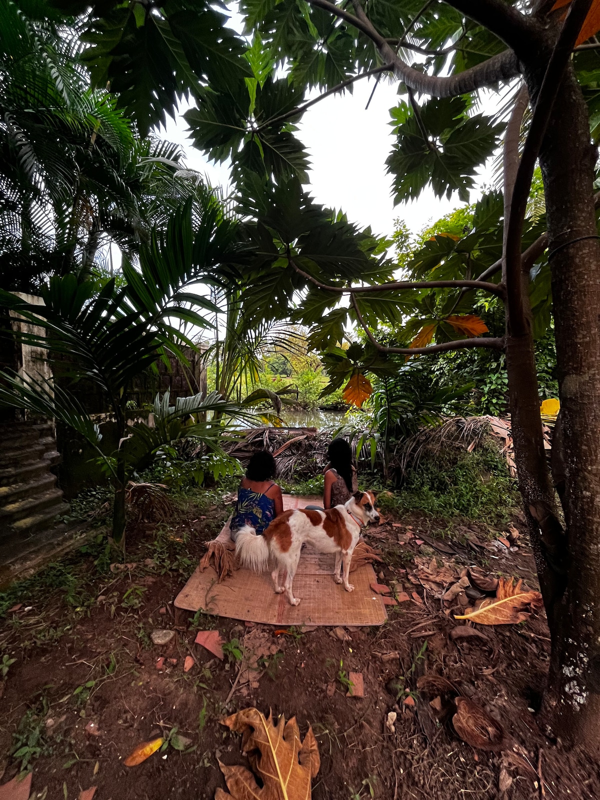 Two individuals are seated on a mat in a tranquil garden space, surrounded by lush greenery and tropical plants. A friendly dog stands nearby, adding to the relaxed atmosphere. The open area is enriched by a natural canopy created by the overhead tree branches.