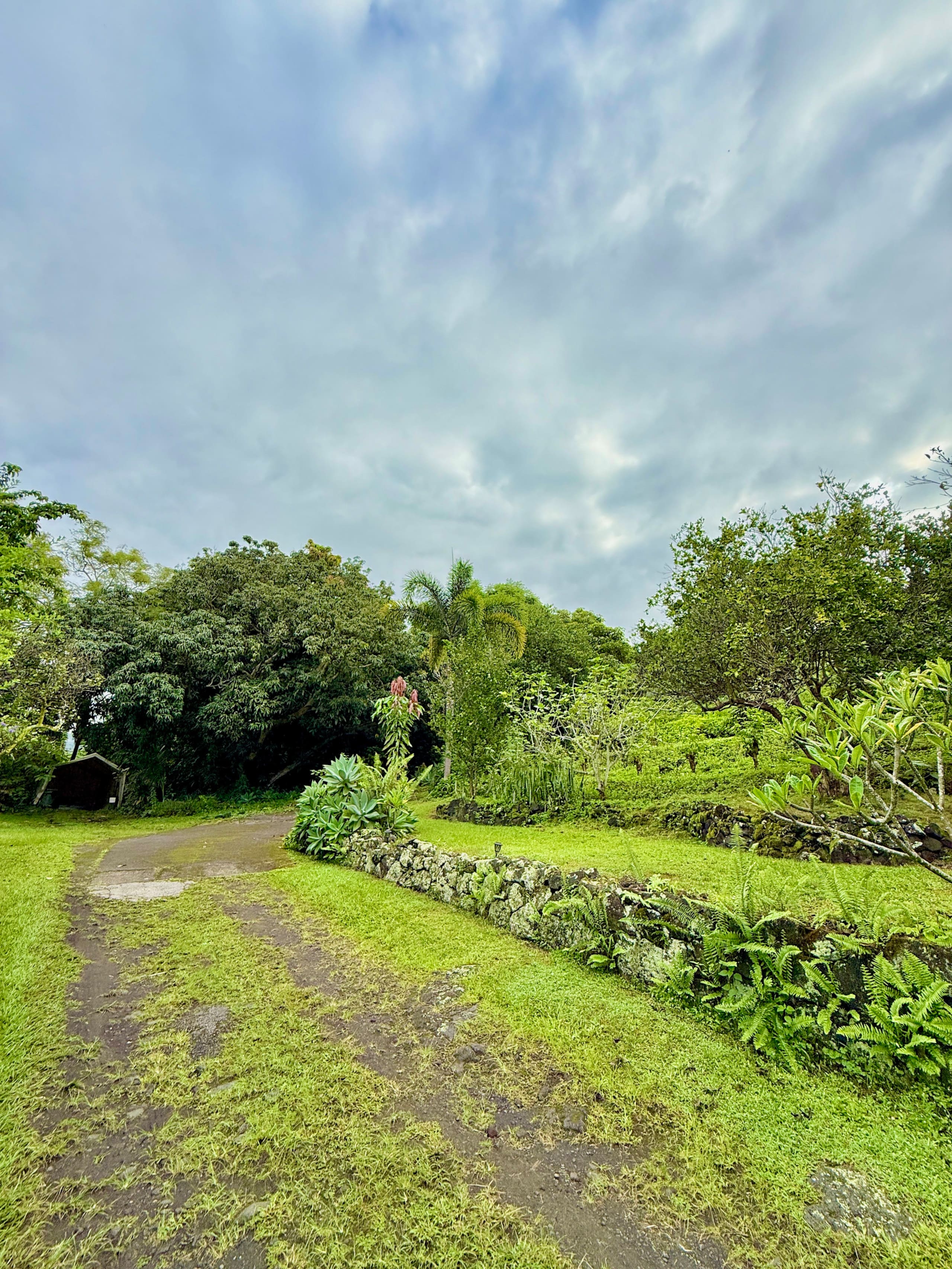 Guesthouse in Captain Cook · ★4.94 · 1 bedroom · 2 beds · 1 private bath - Image 17
