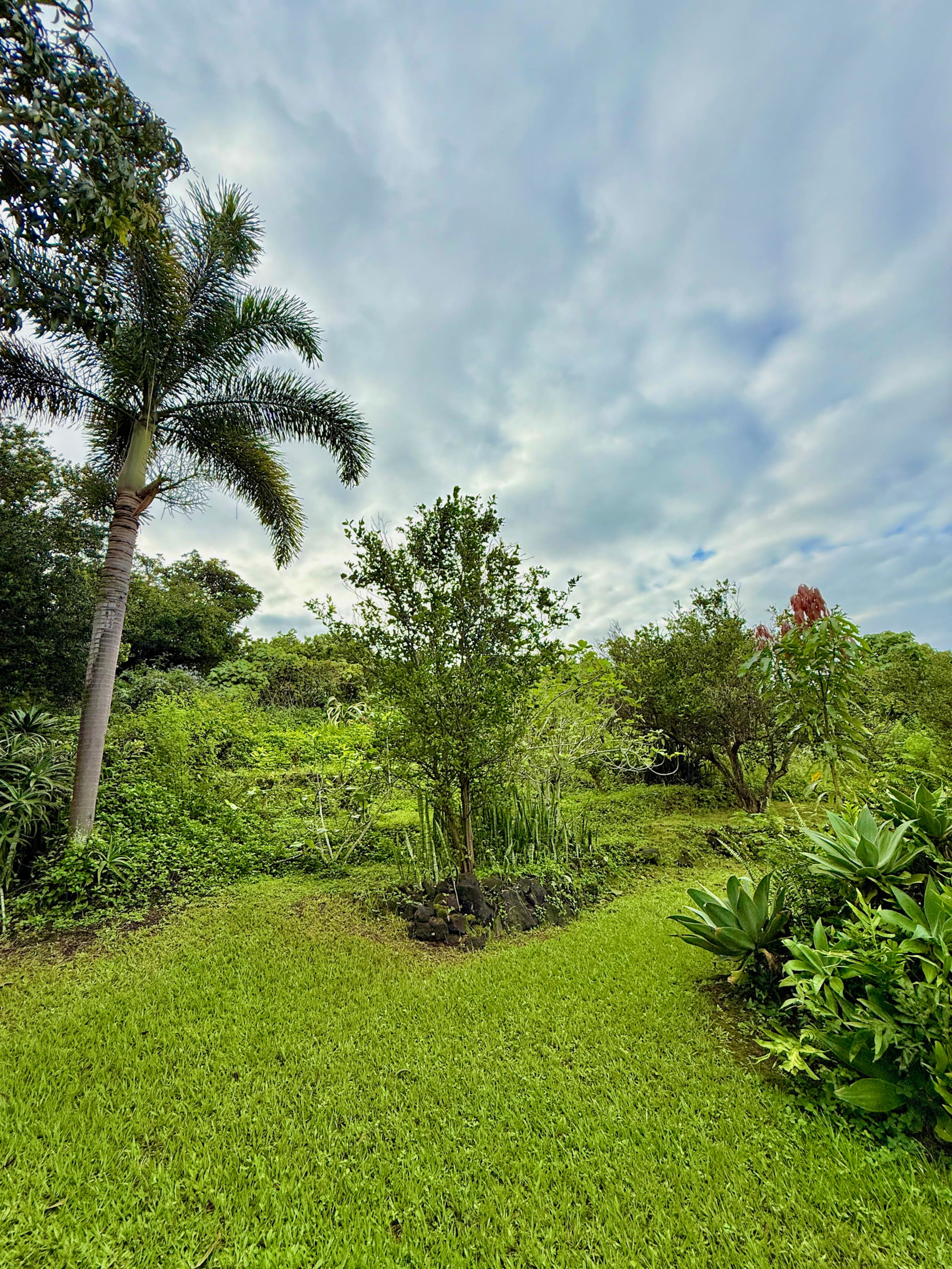 Guesthouse in Captain Cook · ★4.94 · 1 bedroom · 2 beds · 1 private bath - Image 18
