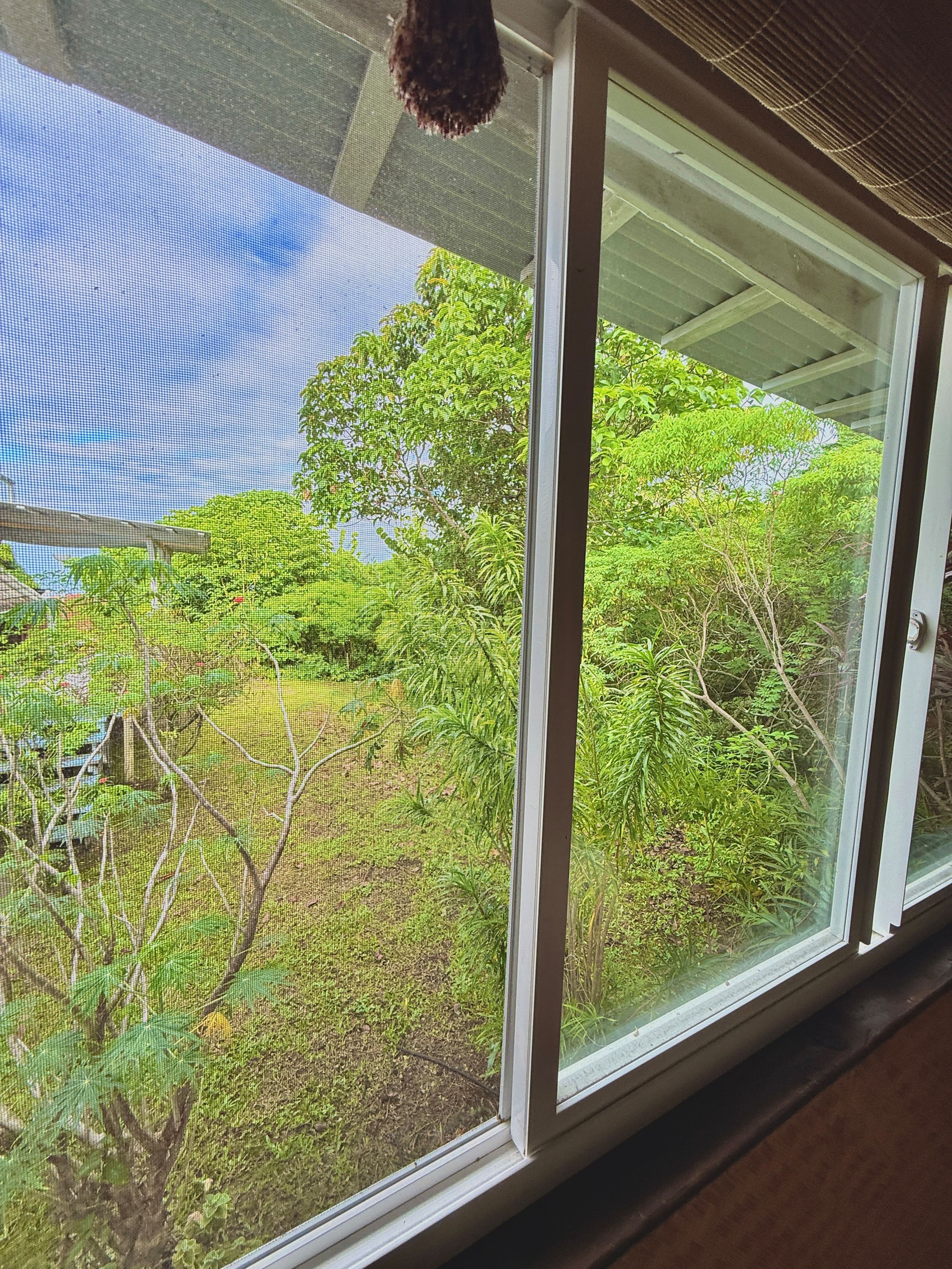Guesthouse in Captain Cook · ★4.94 · 1 bedroom · 2 beds · 1 private bath - Image 6