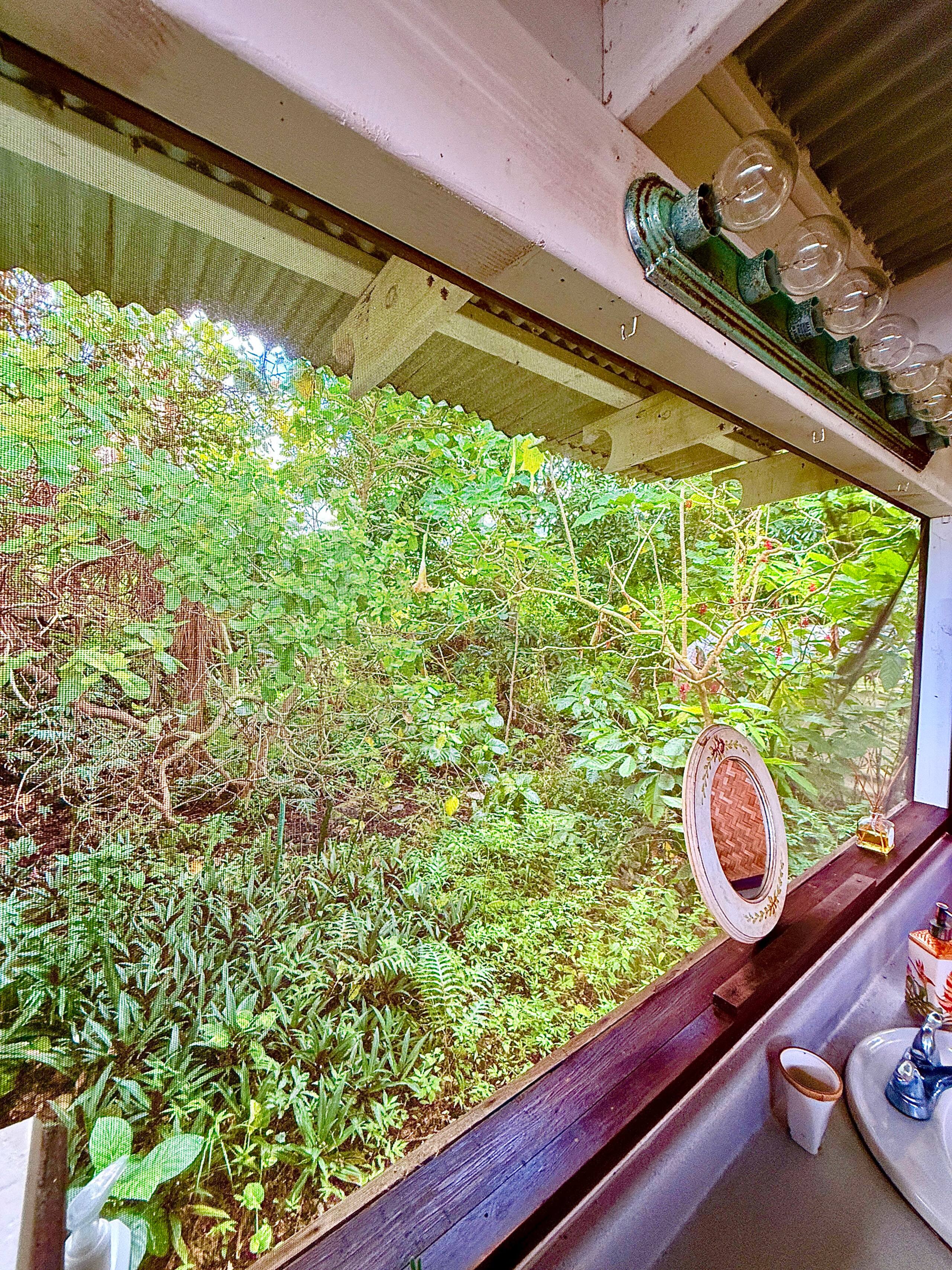 Jungle eco-suite for nature lover, oceanview deck - Photo 12