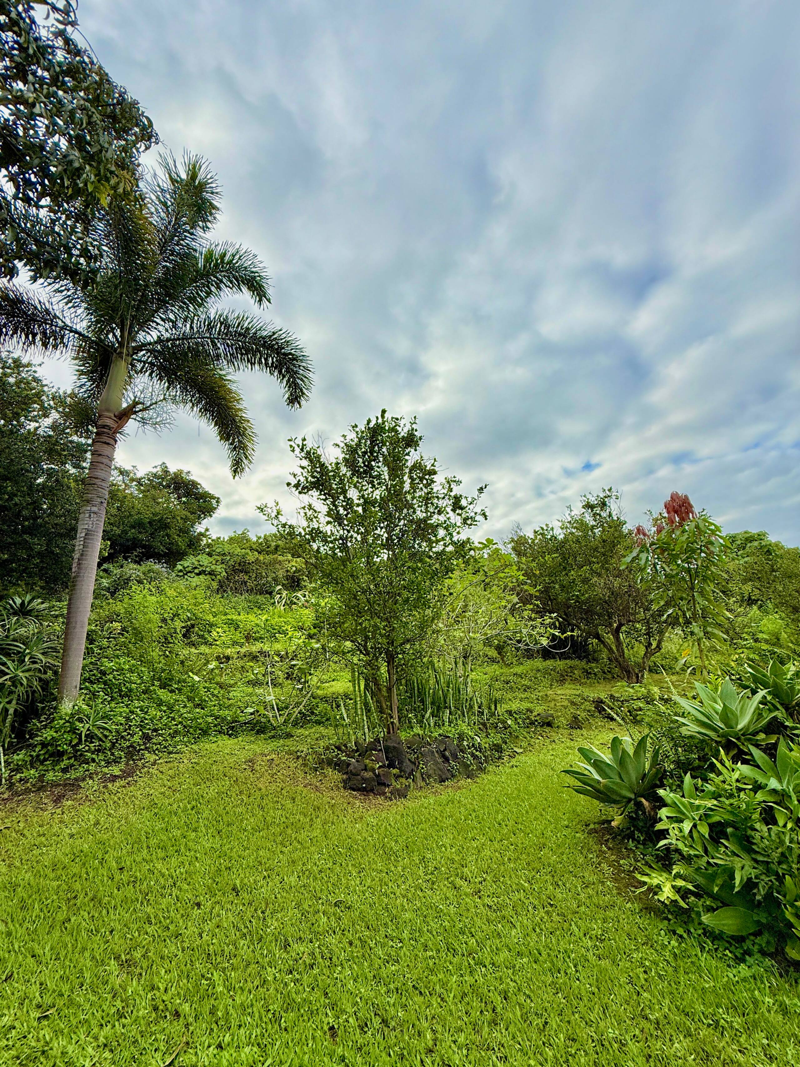 Jungle eco-suite for nature lover, oceanview deck - Photo 25