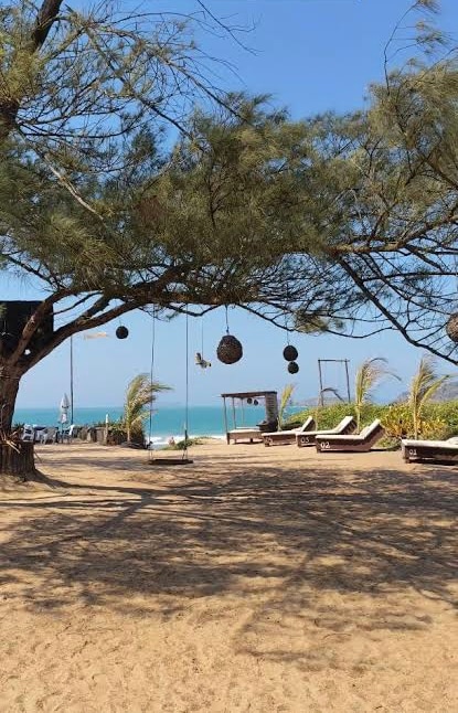 A serene outdoor area is depicted, featuring natural sand and a large tree providing shade. Hanging swings and wicker nests are visible, with lounge chairs arranged nearby. In the background, the tranquil ocean is seen, creating a peaceful atmosphere for relaxation.