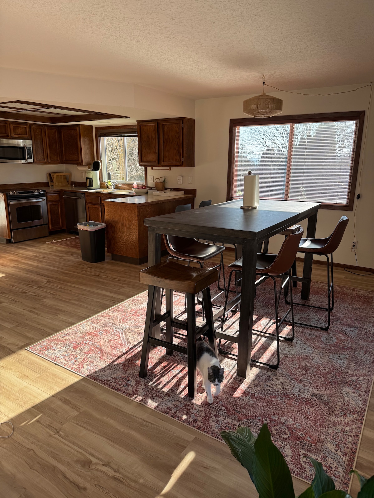 A modern kitchen and dining area features a large wooden table surrounded by high-backed chairs. Natural light streams through a spacious window, illuminating the room with a warm glow. Dark wood cabinetry and stainless steel appliances complement the warm tones of the wood flooring.