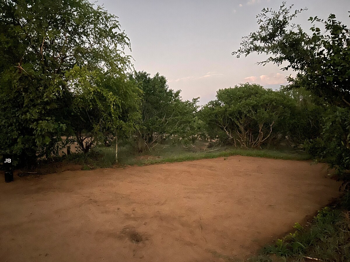 An open camping site is surrounded by sparse bush vegetation, featuring a sandy ground that is clear and level. Distant trees create a natural boundary, while a gentle evening light casts a soft glow over the area.