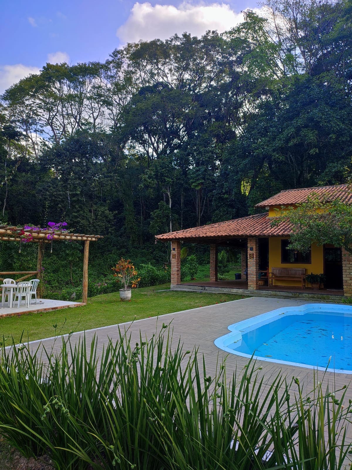 A spacious outdoor area features a pool surrounded by greenery, with a stone deck and several lounge chairs. A patio with outdoor furniture is present, along with a pergola adorned with plants. The house showcases a rustic exterior with a tiled roof and a welcoming porch.