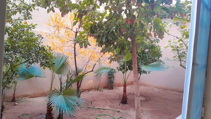 Imagen de Planta baja con terraza 1