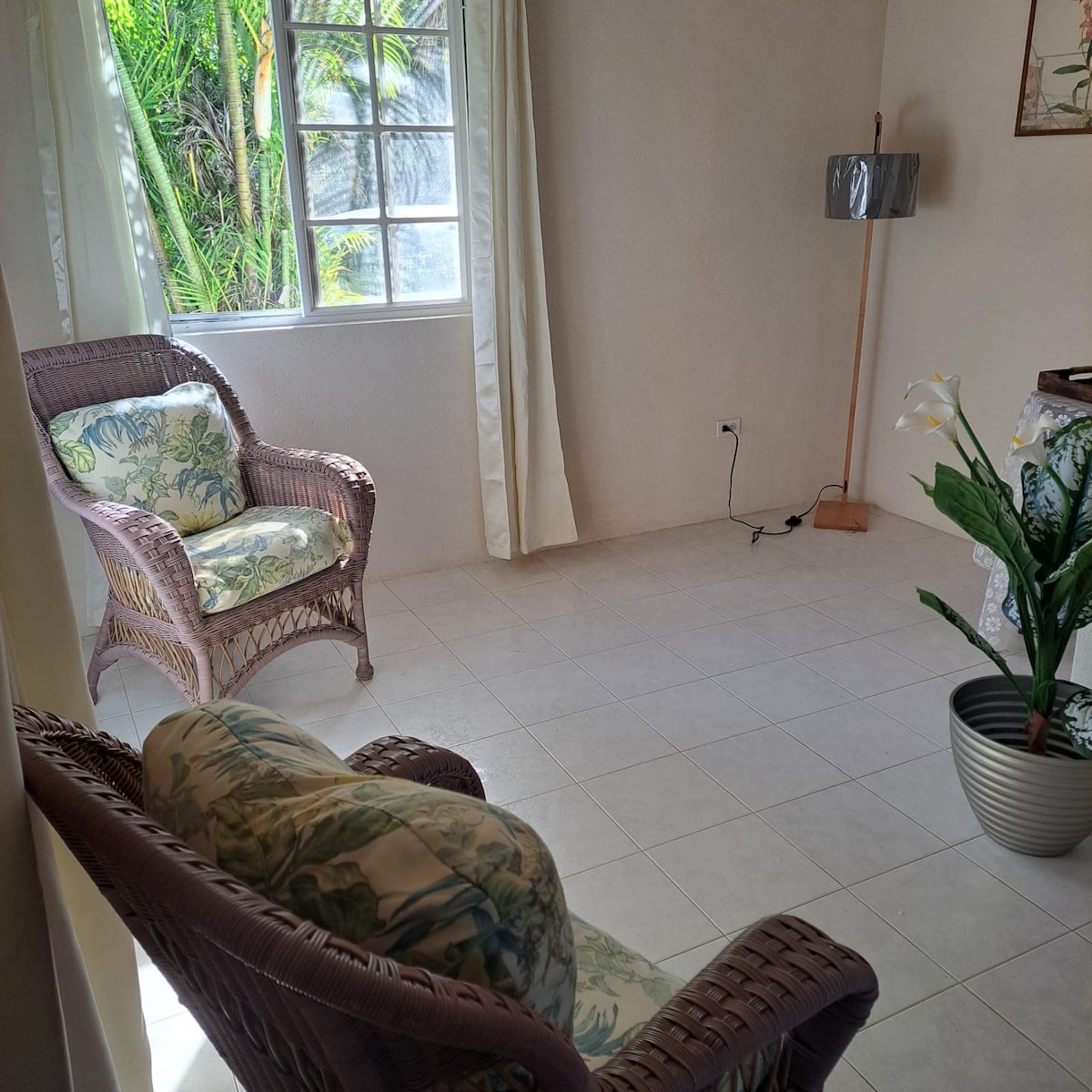A spacious living area is shown, featuring two rattan chairs with floral cushions. Natural light enters through a window draped with soft curtains. A lamp stands beside one chair, and a potted plant adds a touch of greenery to the corner.