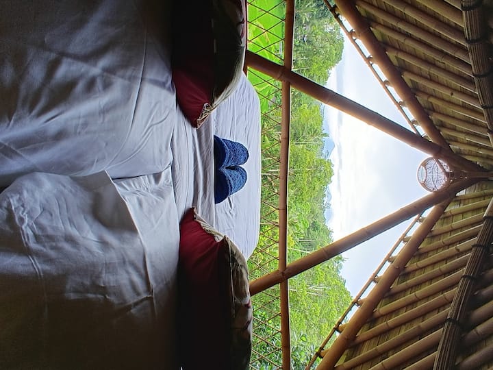 Magical Bamboo Tis - Bali