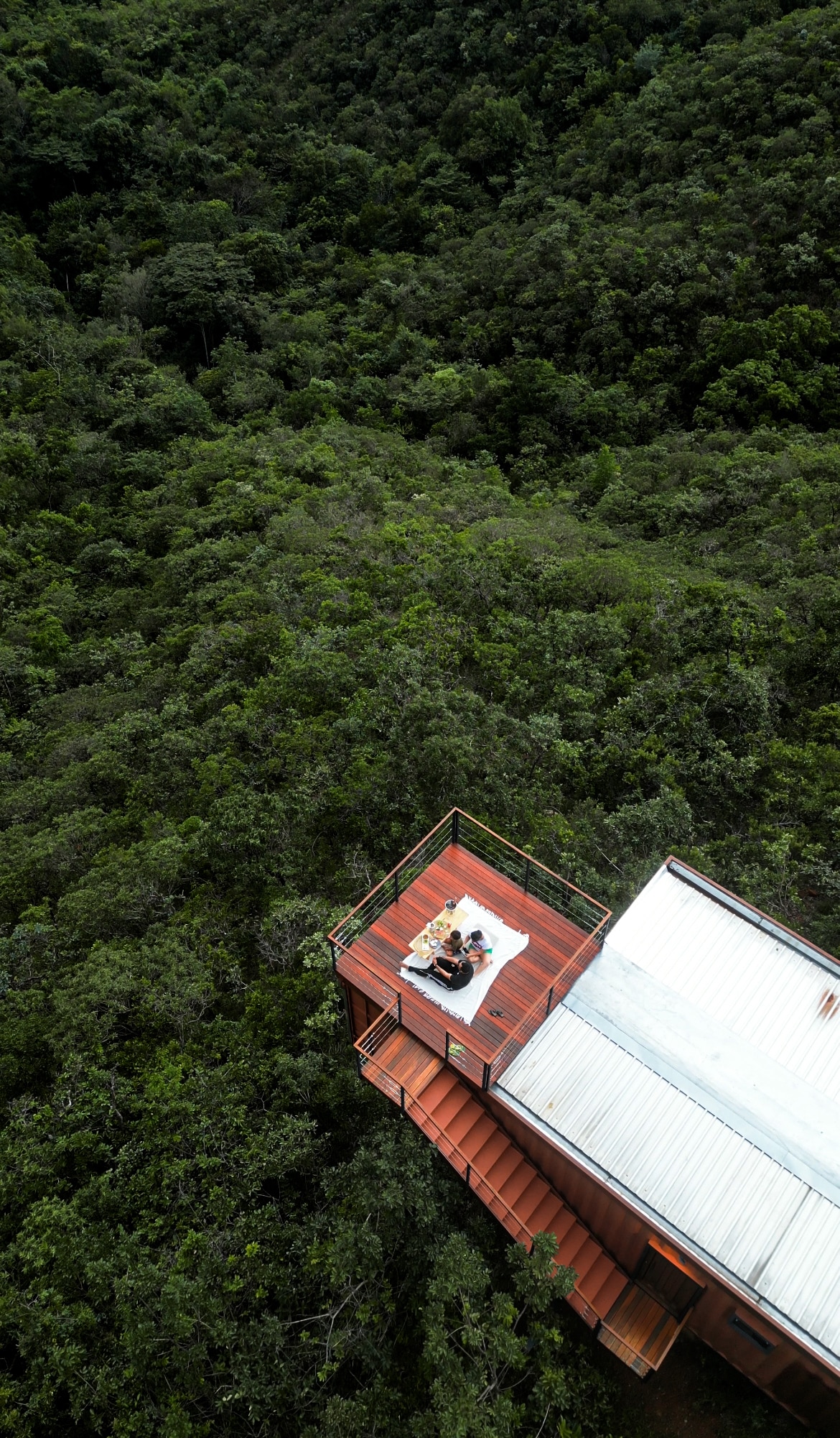 An elevated deck is seen extending from a modern structure, surrounded by lush greenery. A dining set is positioned on the wooden surface, offering an unobstructed view of the dense forest below, creating a calm and serene environment.