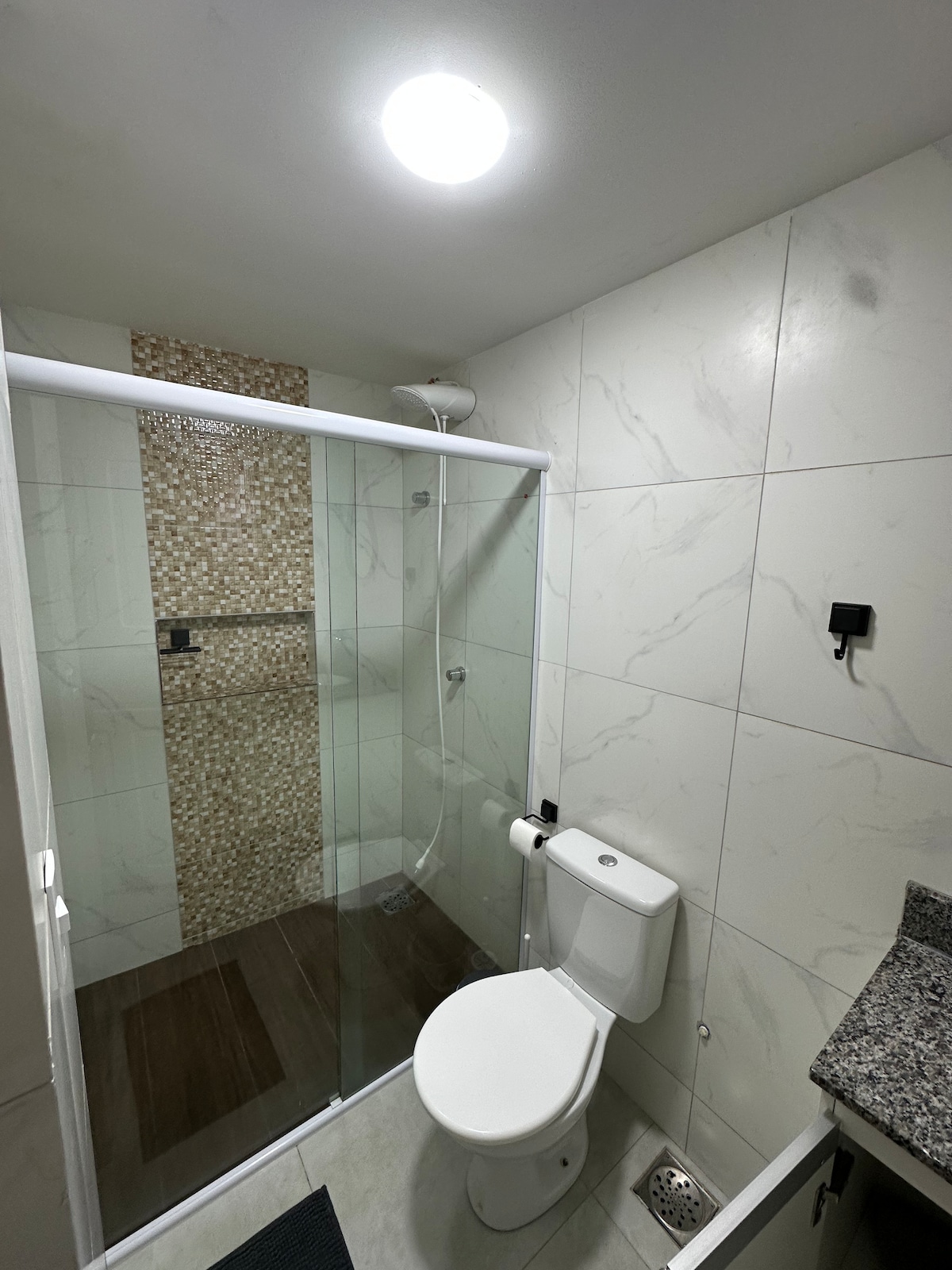 A modern bathroom features a glass shower with a mosaic tile accent wall. A sleek toilet is positioned beside a granite countertop, with neutral-colored walls and a light fixture illuminating the space. Wood-like flooring adds warmth to the contemporary design.