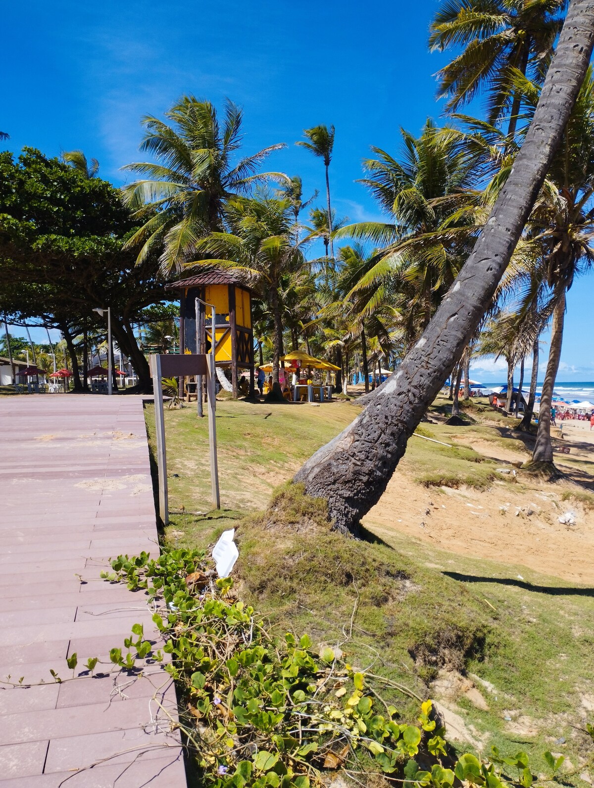 A lively beachfront scene is depicted, featuring palm trees swaying in the breeze. The pathway is lined with greenery, leading towards beachside establishments. In the distance, people can be seen enjoying the beach under a bright blue sky.