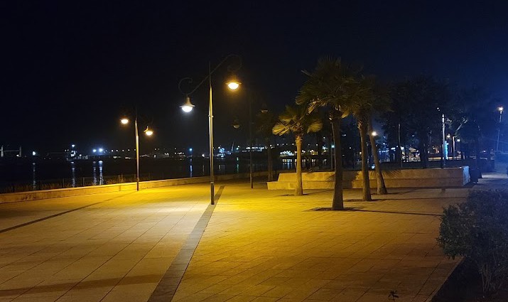 A quiet nighttime view of a waterfront promenade is presented, featuring several palm trees and streetlights casting a gentle glow. The atmosphere appears calm, with distant city lights reflecting on the water, providing a serene backdrop.