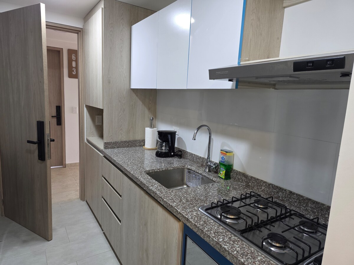 A modern kitchen is equipped with sleek cabinetry and a spacious countertop. A stainless-steel sink sits beside a gas stove with two burners. An electric coffee maker is placed nearby. A door in the background leads to the entrance of the apartment.