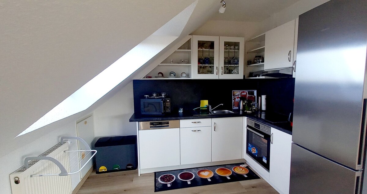 A modern kitchen is featured, equipped with a stainless steel refrigerator and an oven. White cabinets provide storage, while open shelves display dishware. A black countertop offers workspace, and a kitchen mat with a colorful design lies near the sink. Natural light enters through a slanted window.