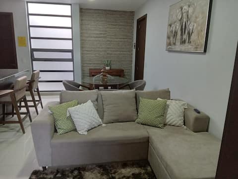 Top performing Airbnb: 1. Beautiful and Downtown APARTMENT No. 1 C/Parking in Arandas
