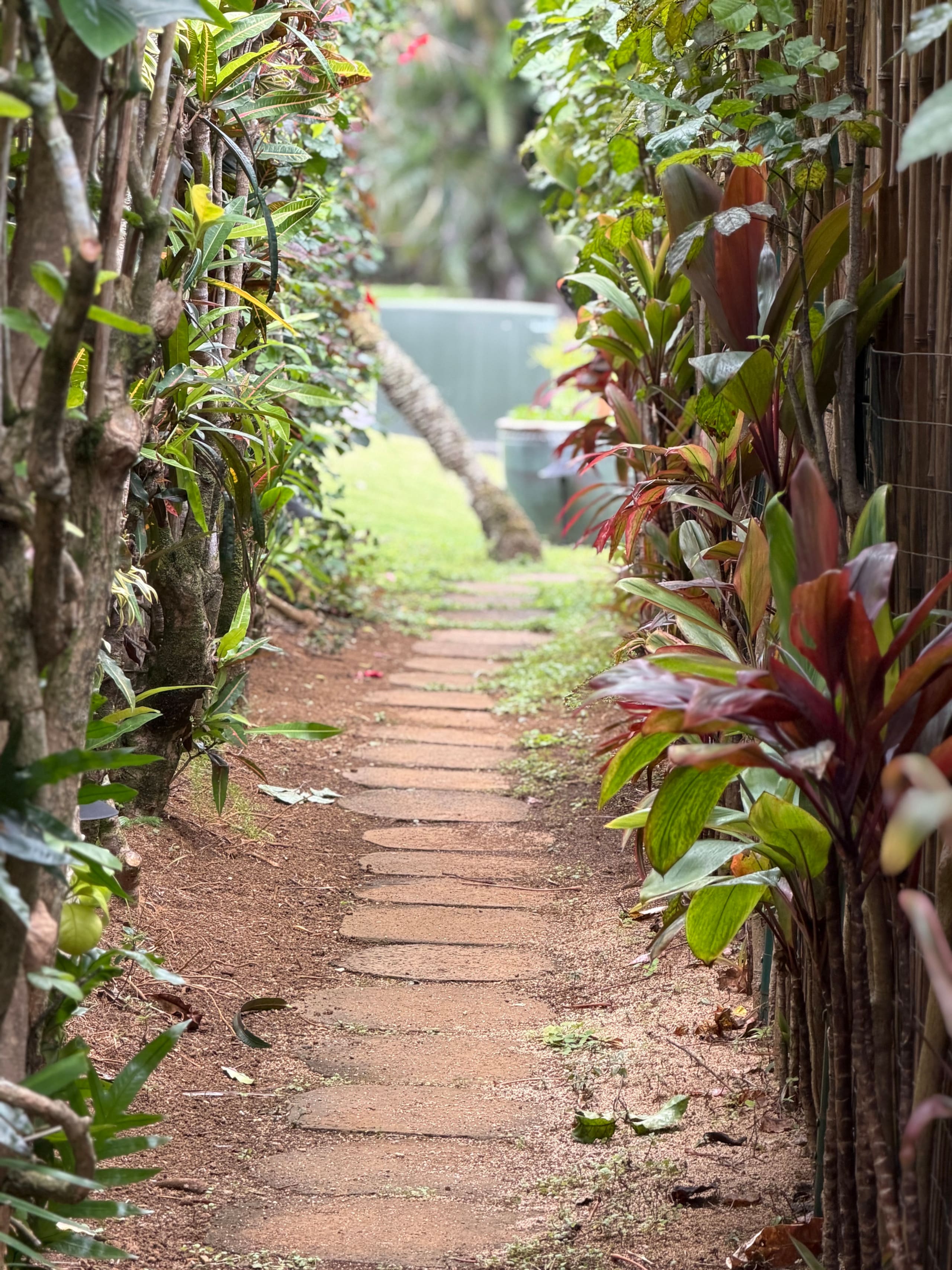 Couple's Kauai Cliffside Retreat with A/C - Image 38