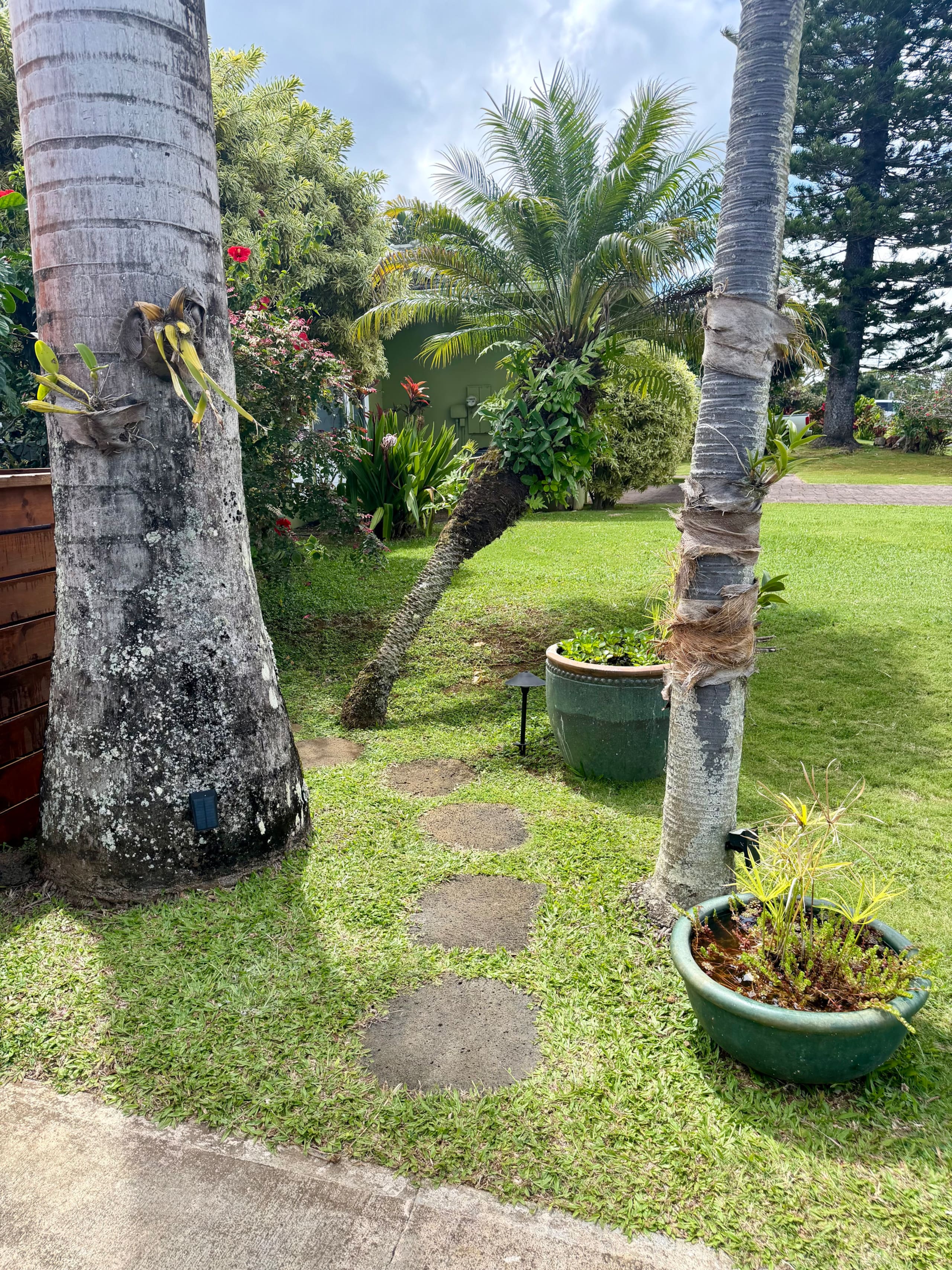 Couple's Kauai Cliffside Retreat with A/C - Image 6