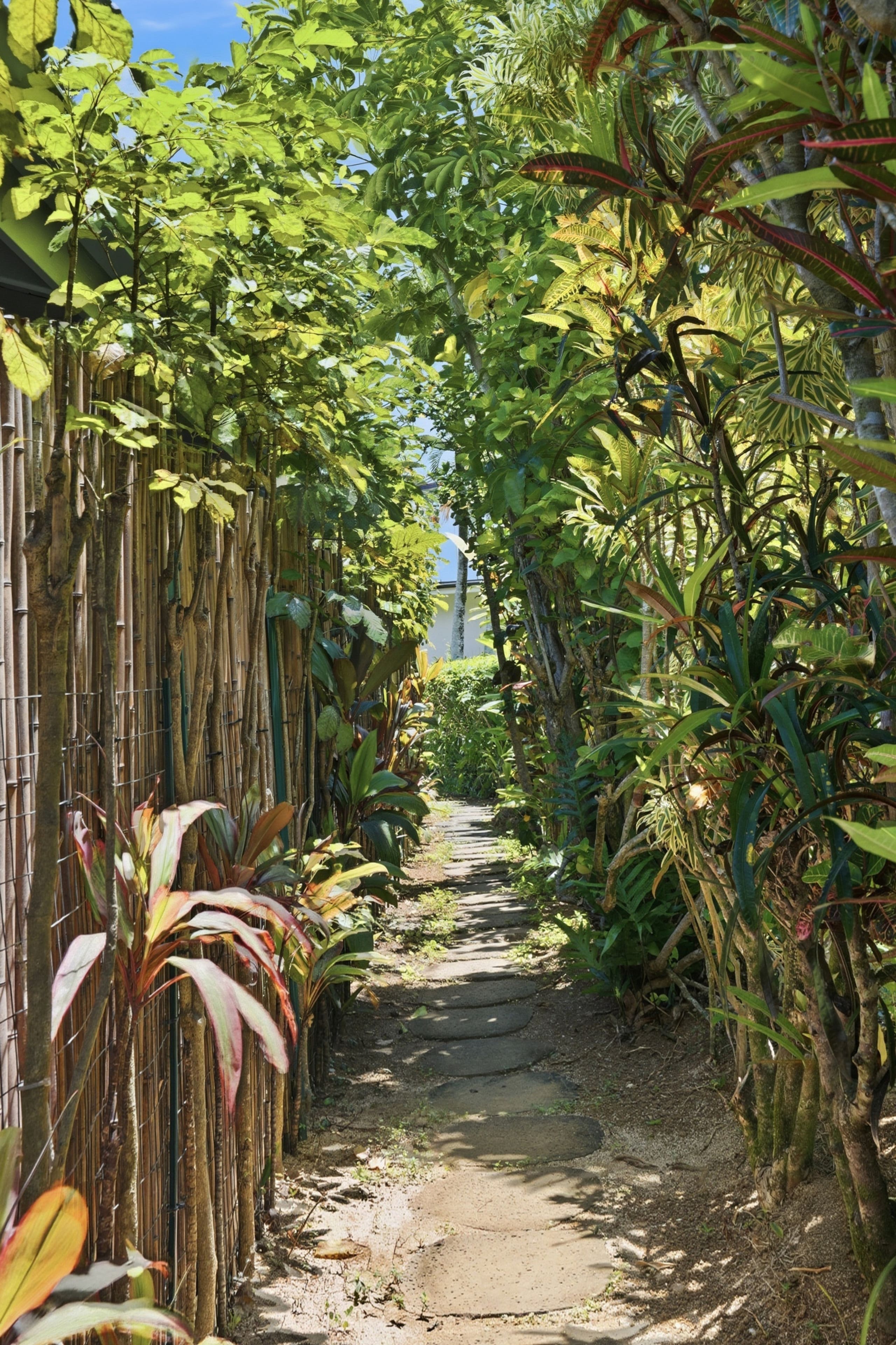 Couple's Kauai Cliffside Retreat with A/C - Image 37
