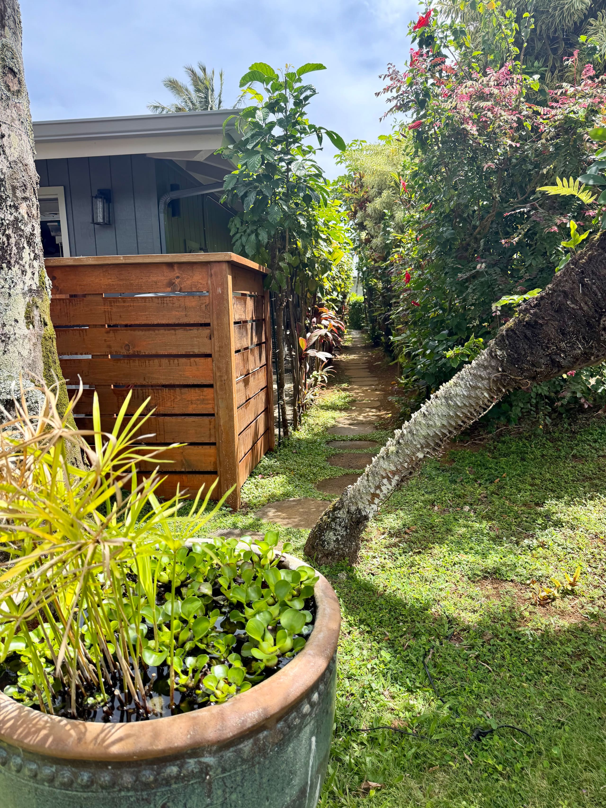 Couple's Kauai Cliffside Retreat with A/C - Image 4