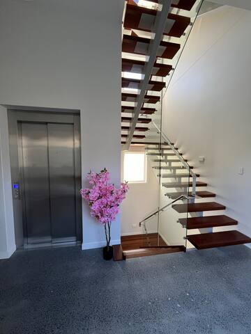 Manly Luxury gallery image 5