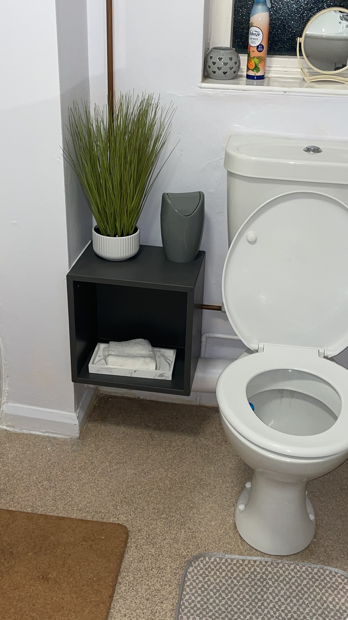 The bathroom features a clean white toilet next to a small black shelf holding rolled towels. A decorative plant adds a touch of greenery. A grey mat lies on the floor, providing comfort. The space is well-lit and organized, with modern fixtures visible.