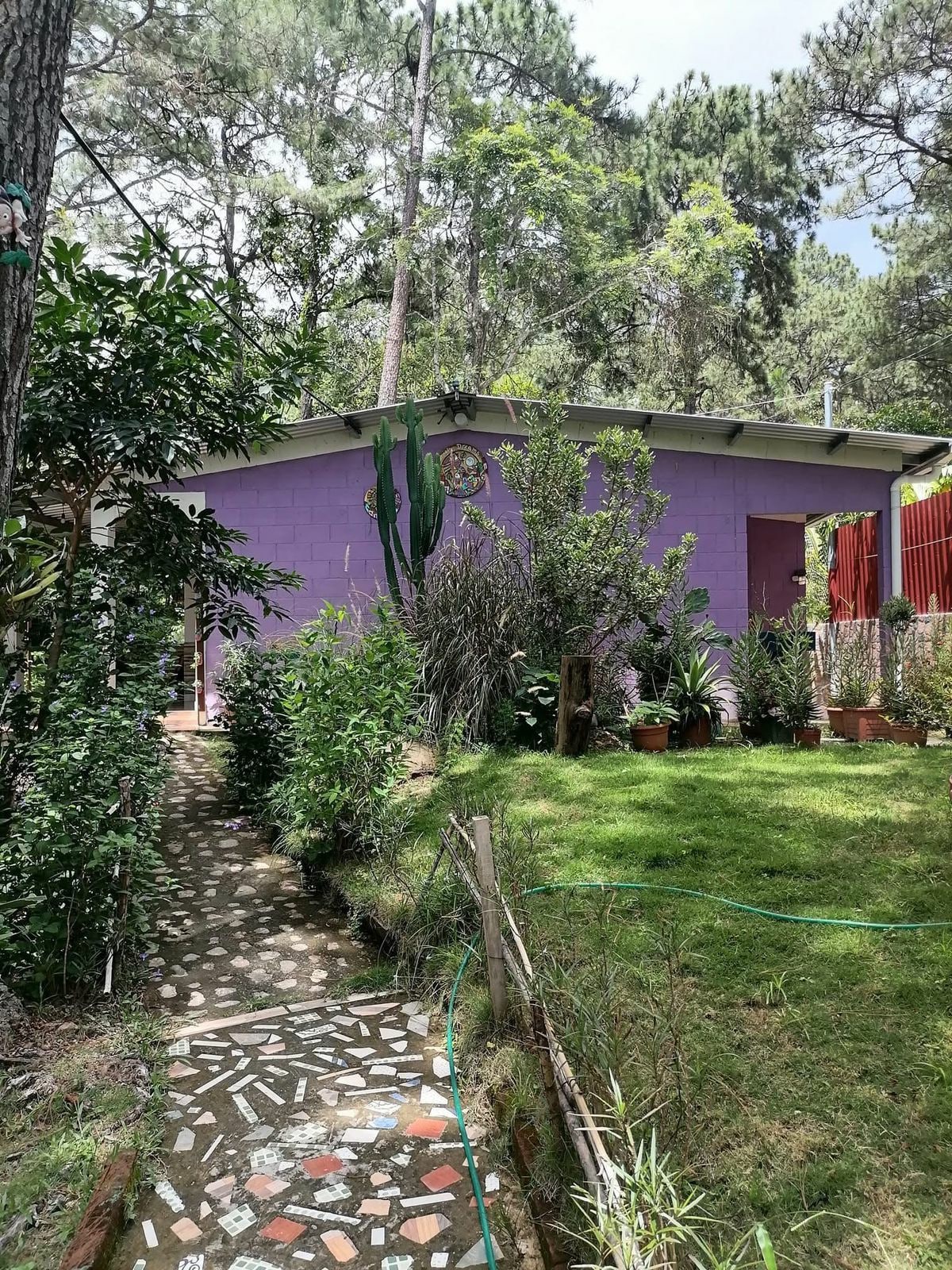 A serene outdoor space is surrounded by lush greenery, featuring a pathway with colorful stone details leading to a lavender-colored building. Potted plants are arranged alongside the walkway, offering a lively touch against the natural backdrop of trees.