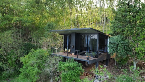 modern cabin