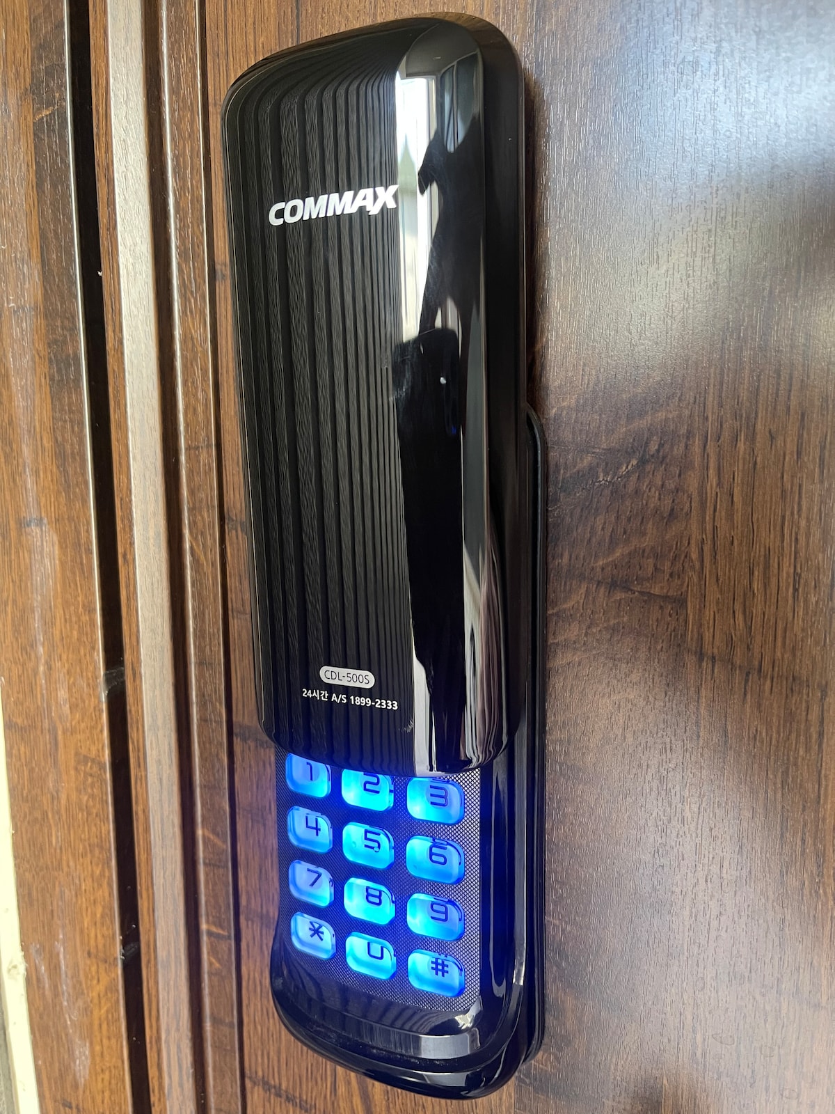 A modern electronic keypad lock is mounted on a wooden door, featuring a sleek black design. The illuminated buttons display blue light, indicating functionality. The keypad is positioned prominently for easy access, providing a secure entry point to the guesthouse.