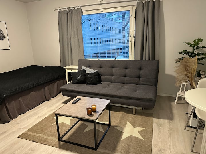 Toimiva Yksiö Keskustassa - Turku