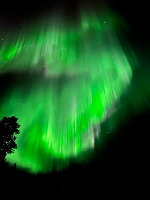 House Mustikankukka under the Northern Lights Sauna