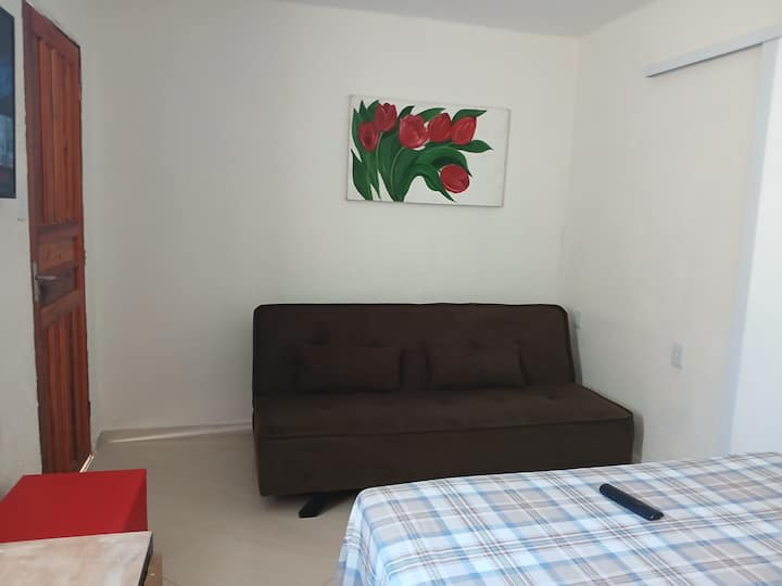 Dhomë ndenjjeje/dhomë gjumi me divan krevat