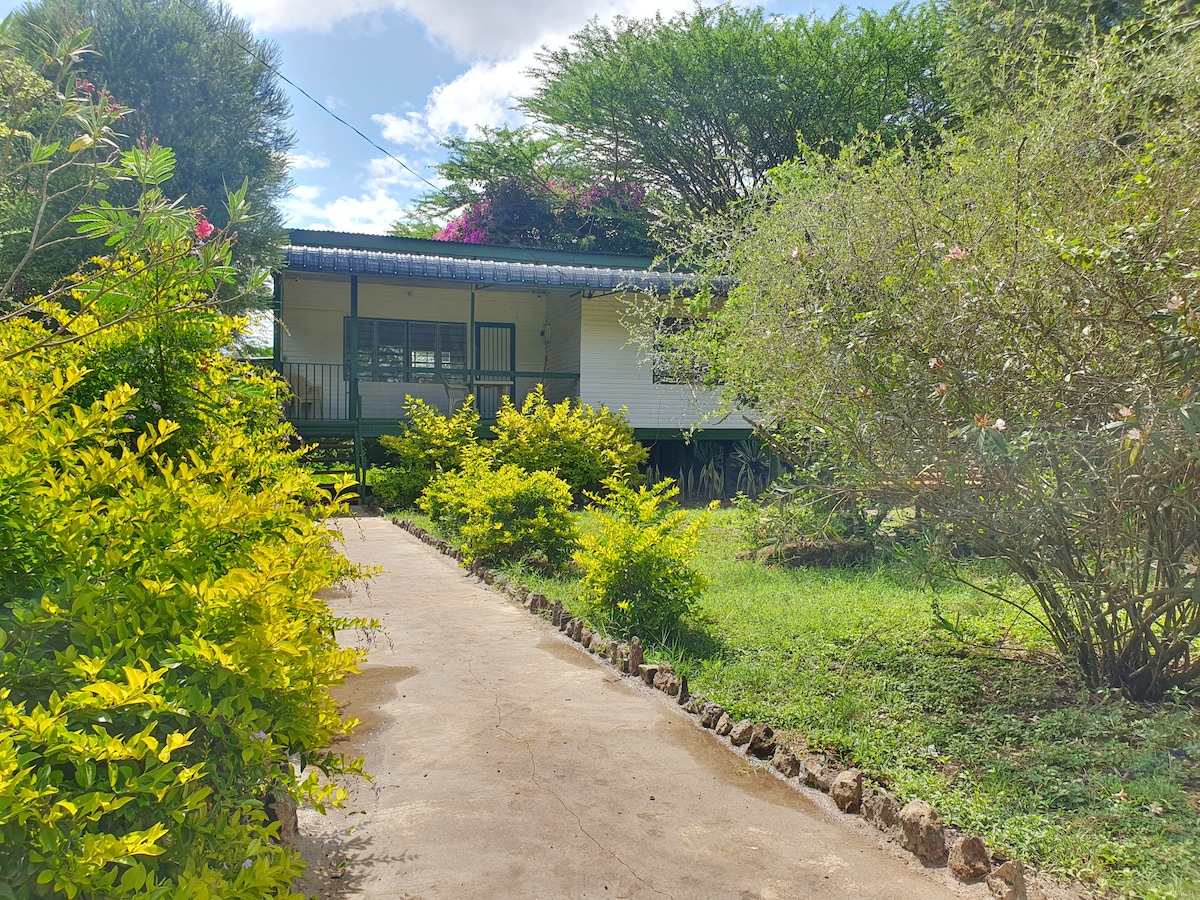 A serene pathway leads to a slightly elevated cabin, surrounded by vibrant green shrubs and flourishing flora. The cabin features a covered porch with a railing, inviting guests to explore the surrounding nature. Brightly colored flowers add a touch of charm to the landscape.