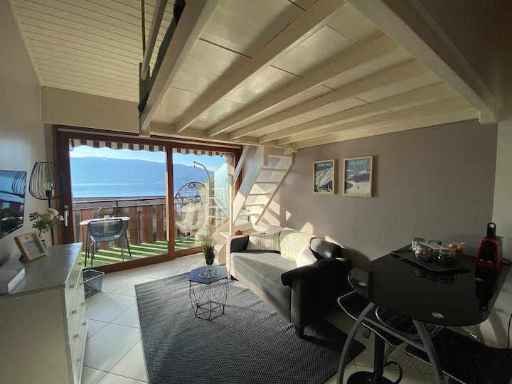 La Lumière Du Lac, Duplex Avec Vue Lac, Parking - Menthon-Saint-Bernard