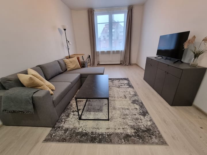 New Renovated Central Apartment - Vilnius